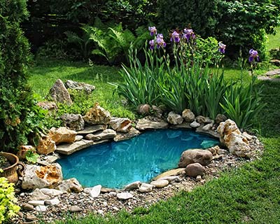 Natural Pools