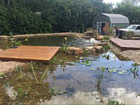 Pools And Waterfalls