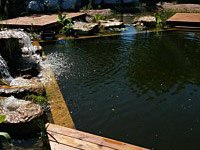 Pools And Waterfalls