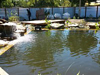 Pools And Waterfalls