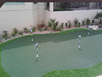 Synthetic Grass/Putting Greens
