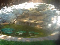 Pools And Waterfalls