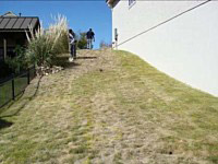 Landscape Before And After A