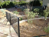 Landscape Before And After A