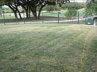 Landscape Before And After B
