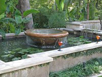 Water Features