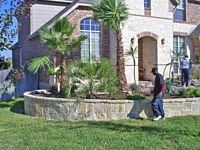 Landscape Gallery A