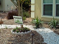 Landscape Gallery A