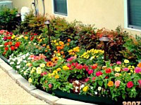 Landscape Gallery B