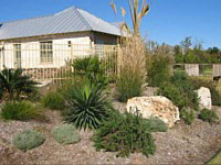 Landscape Gallery B