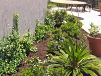 Landscape Gallery B