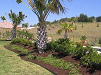 Landscape Gallery B