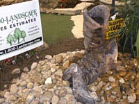 Landscape Gallery B