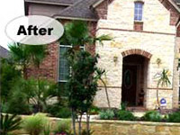 Landscape Before And After B