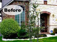 Landscape Before And After B