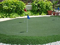 Synthetic Grass/Putting Greens