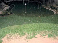 Synthetic Grass/Putting Greens