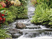 Water Features