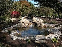 Water Features